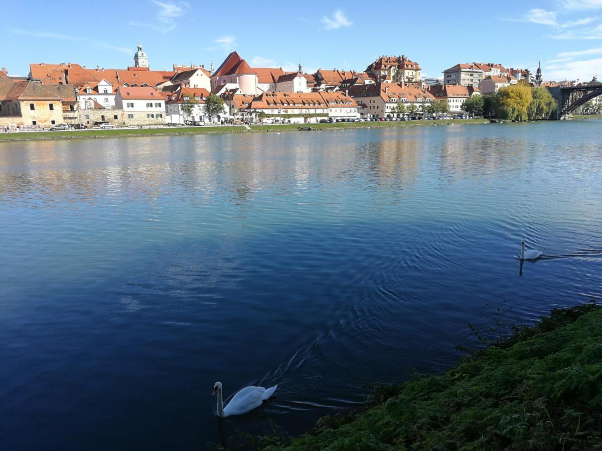Hotel Citymap Maribor Buitenkant foto